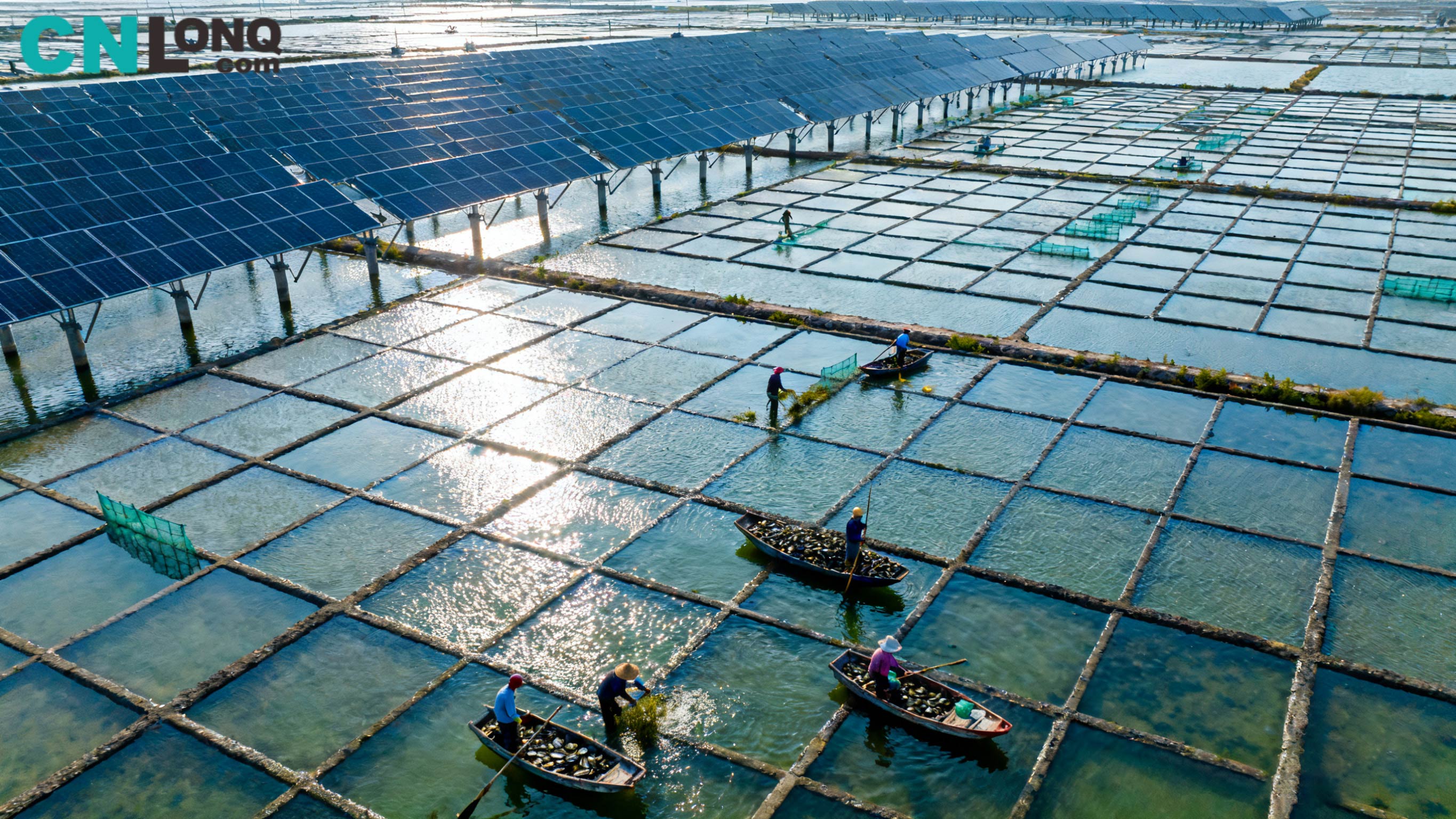 Tổng vốn đầu tư 1,2 tỷ RMB! Dự án 